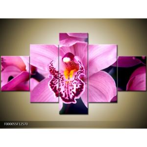 Obraz orchideje (F000055F12570)