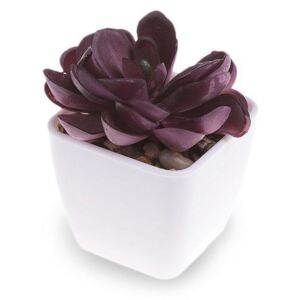 Umělý sukulent v květináči - 7 fialová lilková