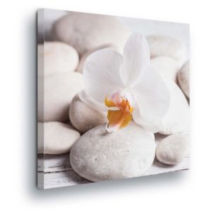Obraz na plátně - Bílé Wellness Kameny III 80x80 cm