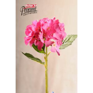 Paramit Aranžovací květina hortenzie růžová