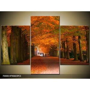 Obraz na plátně Podzimní alej, Tvar obrazu a rozměr 3 dílný 90x60cm 1520 Kč