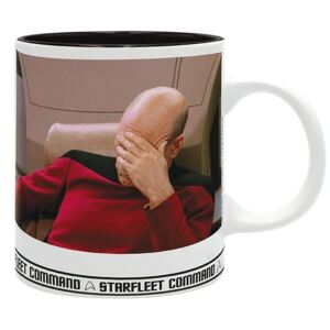 ABYstyle Hrnek Star Trek - Picard Facepalm 320ml