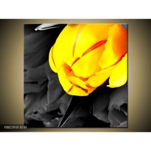 Obraz žlutooranžového květu (30x30 cm)