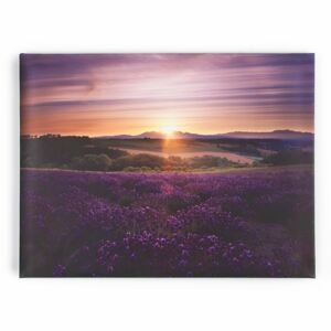 Obraz 40-886, Lavender Sunset, Wall Art, Graham Brown