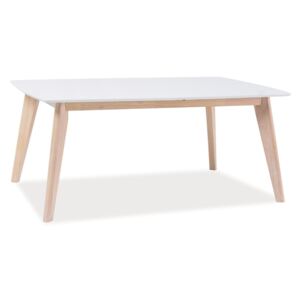 Konferenční stolek COMBO b dub bělený/bílá 110x60