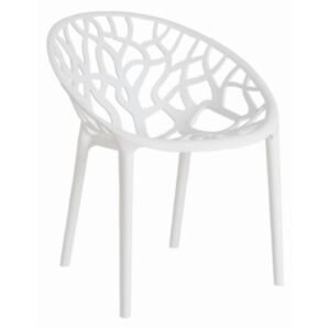 Design2 Židle Coral Bílá Glossy