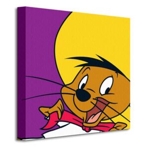 Obraz na plátně Looney Tunes (Speedy Gonzales) 40x40cm WDC95130