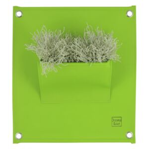 Blooming Walls s.r.o. Sezónní kapsář na rostliny THE GREEN POCKETS 50x45 cm, světle zelená