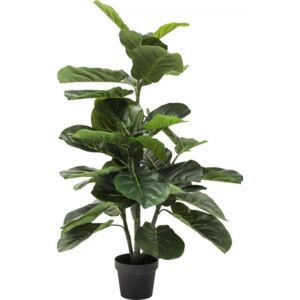 KARE DESIGN Umělá rostlina Fíkus lyrový 120cm