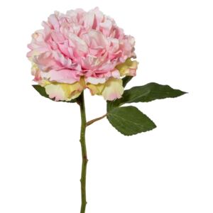 Umělá květina Gasper pivoňka růžová 39cm