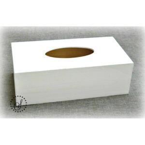 Box na kapesníky - bílý