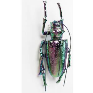 KARE DESIGN Nástěnná dekorace Longicorn Beetle Rainbow