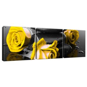 Obraz na plátně Yellow roses and spa 90x30cm 2554A_3A