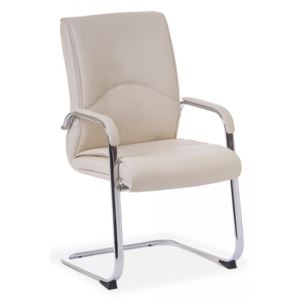 Konferenční židle Luxus béžová