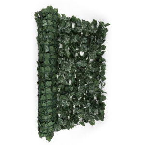 Blumfeldt Fancy Dark Ivy, tmavě zelený břečťan, plot na ochranu před pozorováním, ochrana před větrem, 300 x 100 cm