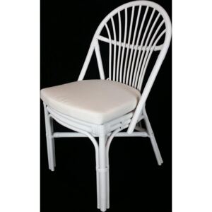 Ratan ratanová jídelní židle BALI - bílý ratan J011Wb