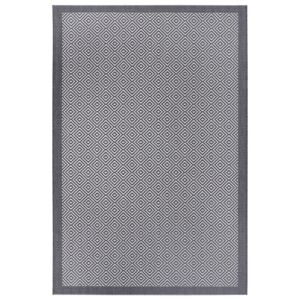Hanse Home Collection koberce Kusový koberec Flatweave 104823 Silvergrey/Cream - 80x150 cm