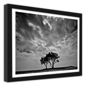 CARO Obraz v rámu - Lonely Trees 70x50 cm Černá