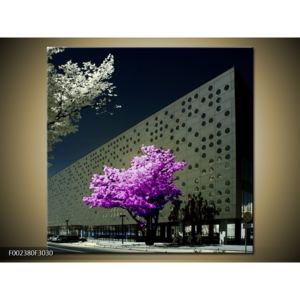 Moderní obraz fialového stromu (F002380F3030)