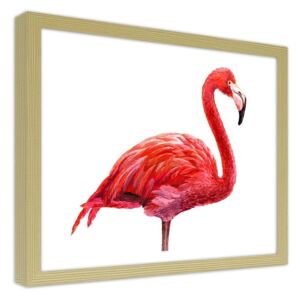 CARO Obraz v rámu - A Realistic Illustration Of A Flamingo 40x30 cm Přírodní