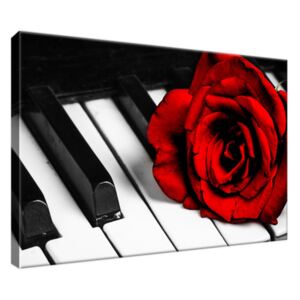 Obraz na plátně Růže na klavír 30x20cm 1229A_1T