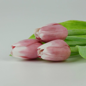 Francouzský umělý tulipán č. 06 – růžovo-bílý, 40 cm