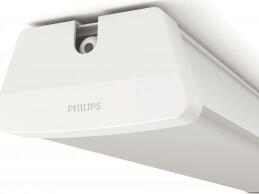 PHILIPS AQUALINE 50W 1175mm 4000K 31247/31/P3 - Philips