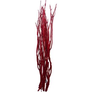 Větve Mitsumata 3ks-sv. 80cm - červené