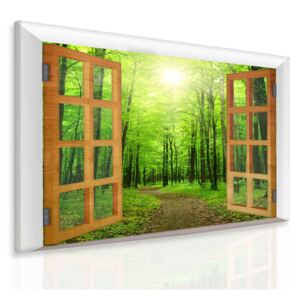 InSmile ® Obraz paprsek v zeleném lese Velikost: 50x40 cm
