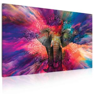 InSmile ® Obraz slon štěstí Velikost: 90x60 cm