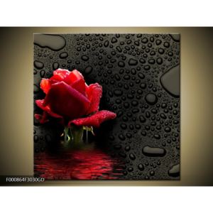 Obraz červené růže (F000864F3030GD)