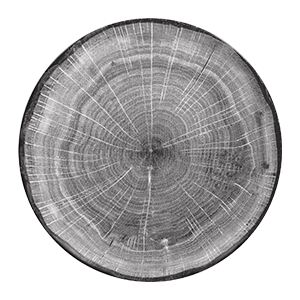 Woodart mělký talíř šedý buk rozměr: 24 cm