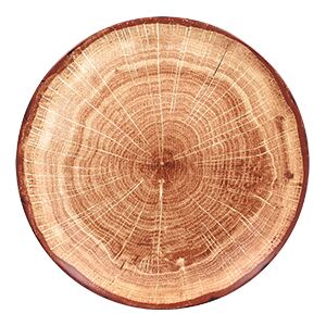 Woodart mělký talíř hnědé dřevo rozměr: 21 cm