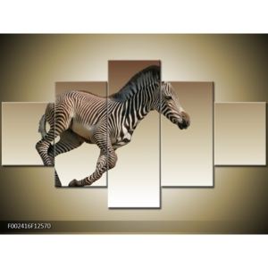 Obraz běžící zebry (F002416F12570)
