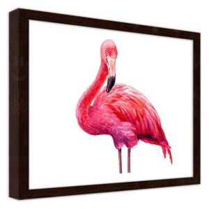 CARO Obraz v rámu - A Realistic Illustration Of A Pink Flamingo 40x30 cm Hnědá