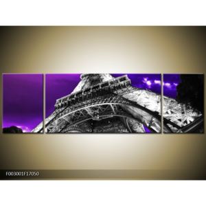 Obraz Eiffelovy věže v Paříži (F003001F17050)