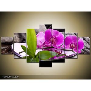 Obraz fialových orchidejí v míse (F004029F210100)