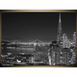 Černobílý obraz - noční město (F001796F7050)