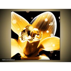 Obraz žluté květiny (F005133F3030GD)