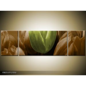 Obraz tří tulipánů - zelená hnědá (F002537F17050)