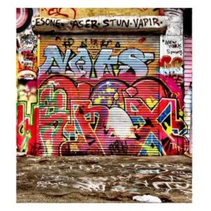 Fototapeta - Ulice s graffiti + zdarma lepidlo - 225x250