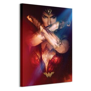 Obraz na plátně DC Comics Wonder Woman (Power) 60x80 WDC99962