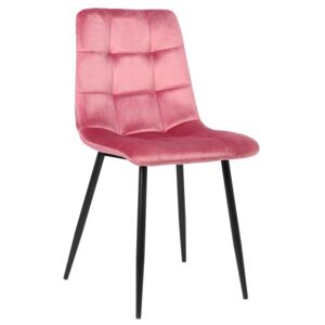 Jídelní židle Tilde ~ samet, kovové nohy černé Barva Ružová
