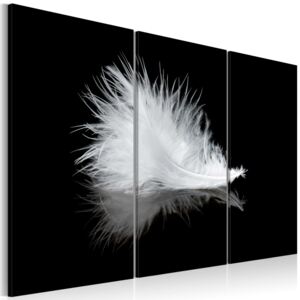 Obraz na plátně Bimago - Peříčko 90x60 cm