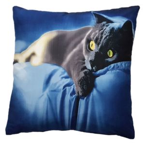 Povlak 3D - Modrá kočka