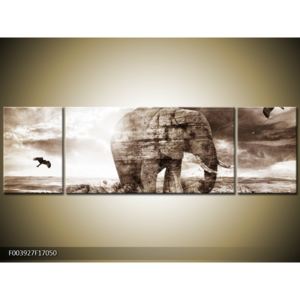 Obraz slona v krajině (170x50 cm)