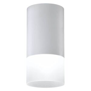 Stropní moderní osvětlení EMILIA-ROMAGNA, 1xGU10, 50W, 13x6,4cm, šedé