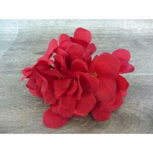Květ Hortenzie - červený