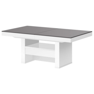 Hubertus Konferenční stolek AVERSA LUX MAT Barva nábytku: Šedo/bílý