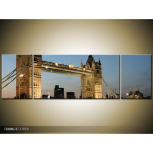 Obraz - Tower Bridge (F000631F17050)